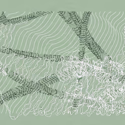 Aux Arbres #709