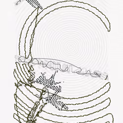 Aux Arbres #2480