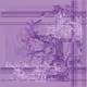 73713