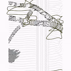 Aux Arbres #2938