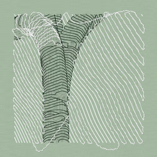 Aux Arbres #12556