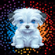 FuzzPups Baby Blue