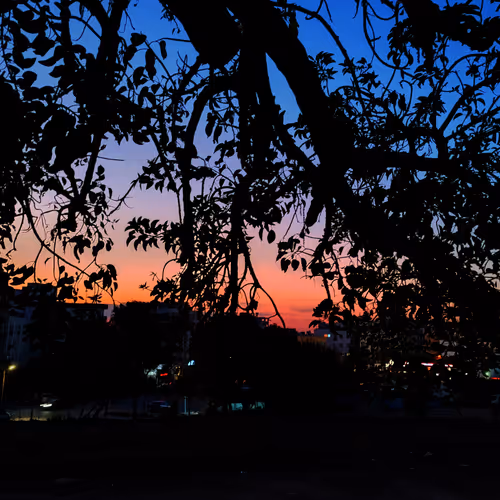 Lonely Days 3