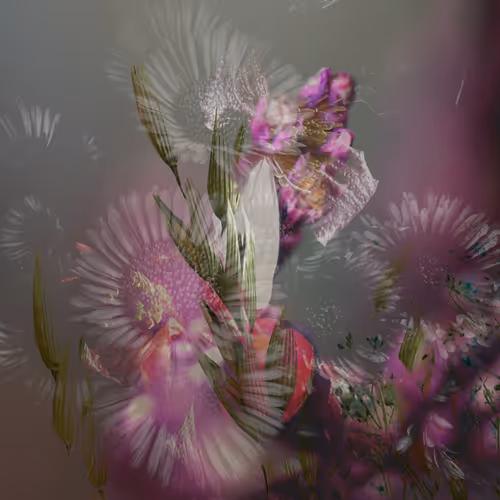 Between The Pinks