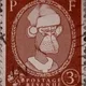 Ape Trend Stamp Club