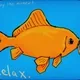Relax fishy 1