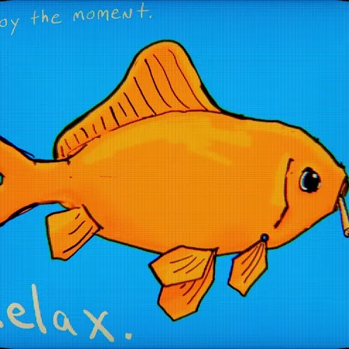 Relax fishy 1