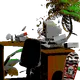 6262