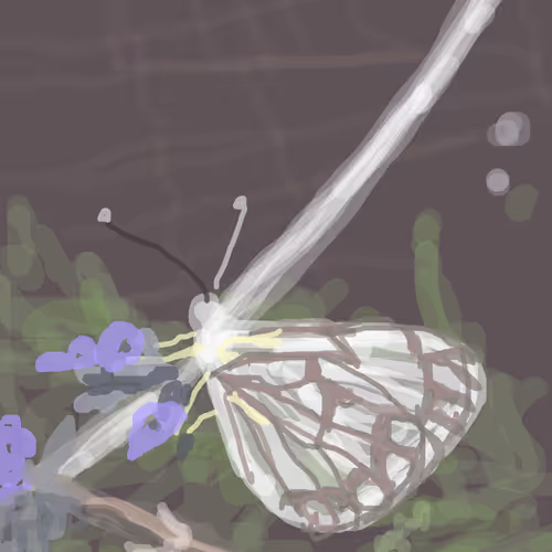 Regenerative Ideas