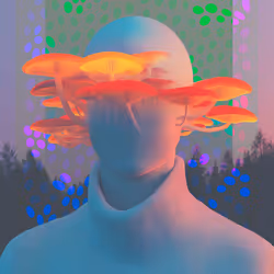 31