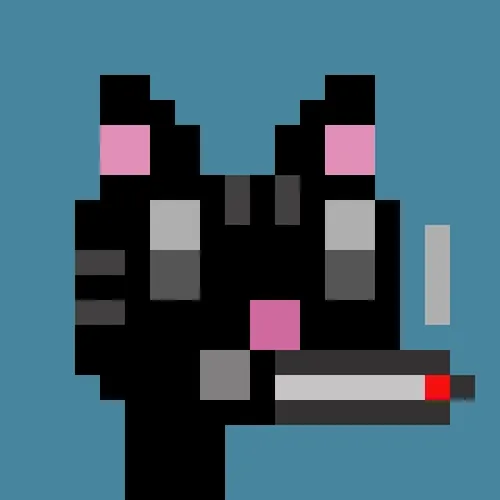 Cats R Punks