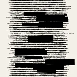 The Epstein Files