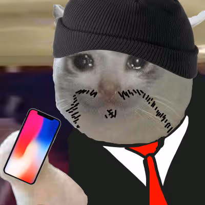 Mint Fun And Meme Cat