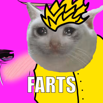 Mint Fun And Meme Cat