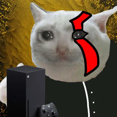 Mint Fun And Meme Cat