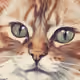 🐱CAT🐱