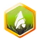Reputex Badges
