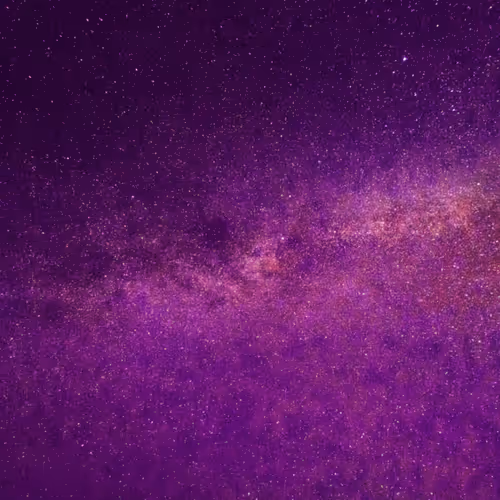 WallPrint Designs - Member