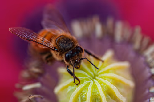 Item #3 Media