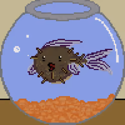 BitFishes #954