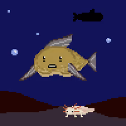 BitFishes #577