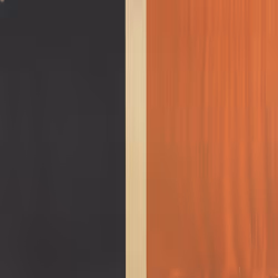 61