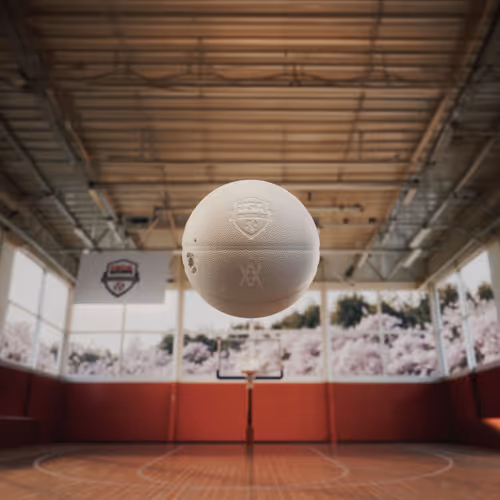 Seasonal Erosion By Daniel Arsham For Usa Basketba