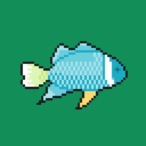 Feed Cat A Fish