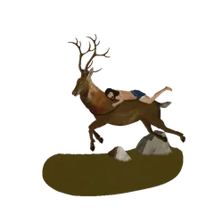 Item Media