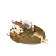 81