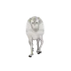123