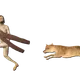 51
