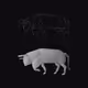 Study of a Bull