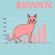 BWEN