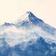 Nature's Blueprint 1/1
