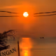 Island Pha-ngan