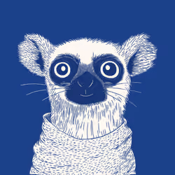 Zoolini - Lemur