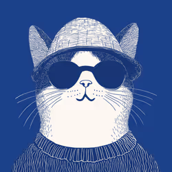 Zoolini - Cat