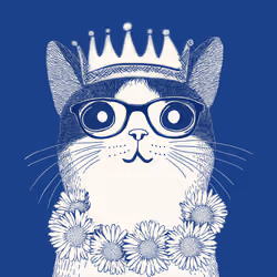 Zoolini - Cat