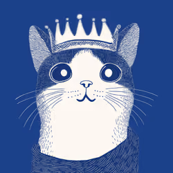 Zoolini - Cat