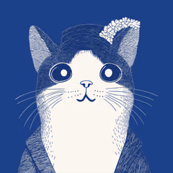 Zoolini - Cat