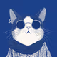Zoolini - Cat