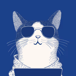 Zoolini - Cat