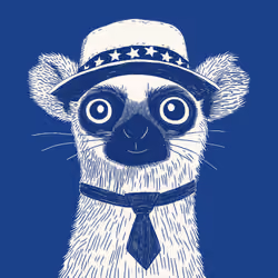 Zoolini - Lemur