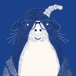 Zoolini - Guinea Pig