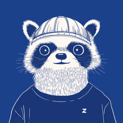 Zoolini - Raccoon