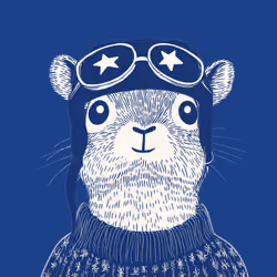 Zoolini - Chipmunk