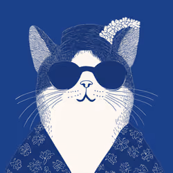 Zoolini - Cat