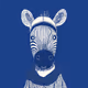 Zoolini - Zebra