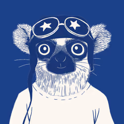 Zoolini - Lemur